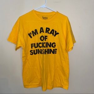i’m a ray of f***ing sunshine shirt